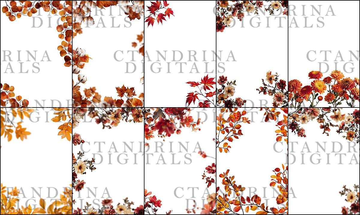 Fall Branch Backdrop Overlays: Floral PNG Branches for Photography (Digital Download)