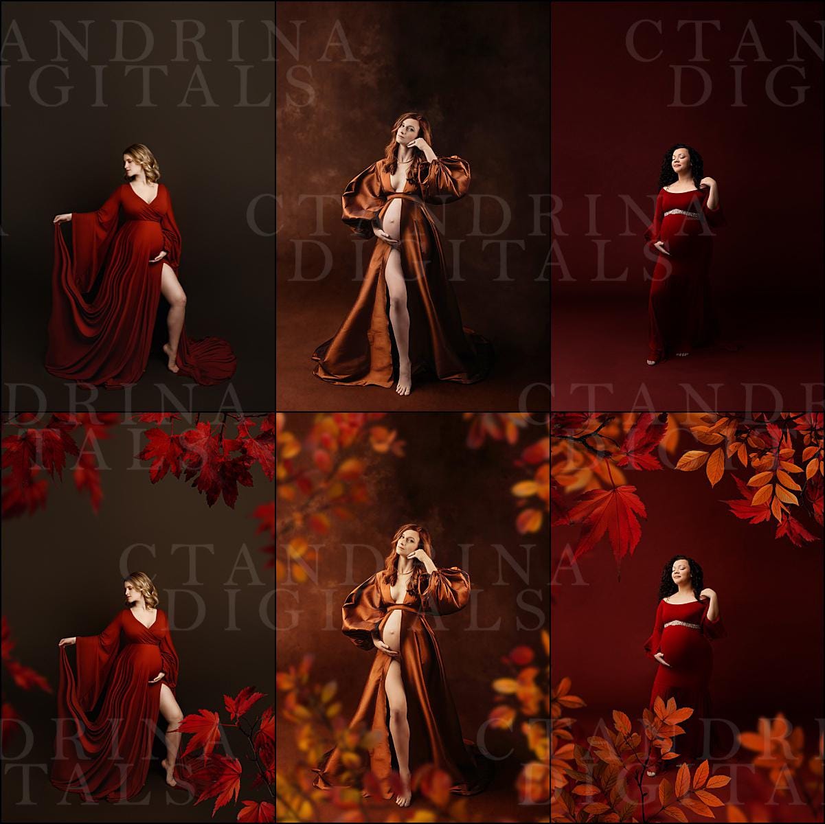 Fall Branch Backdrop Overlays: Floral PNG Branches for Photography (Digital Download)