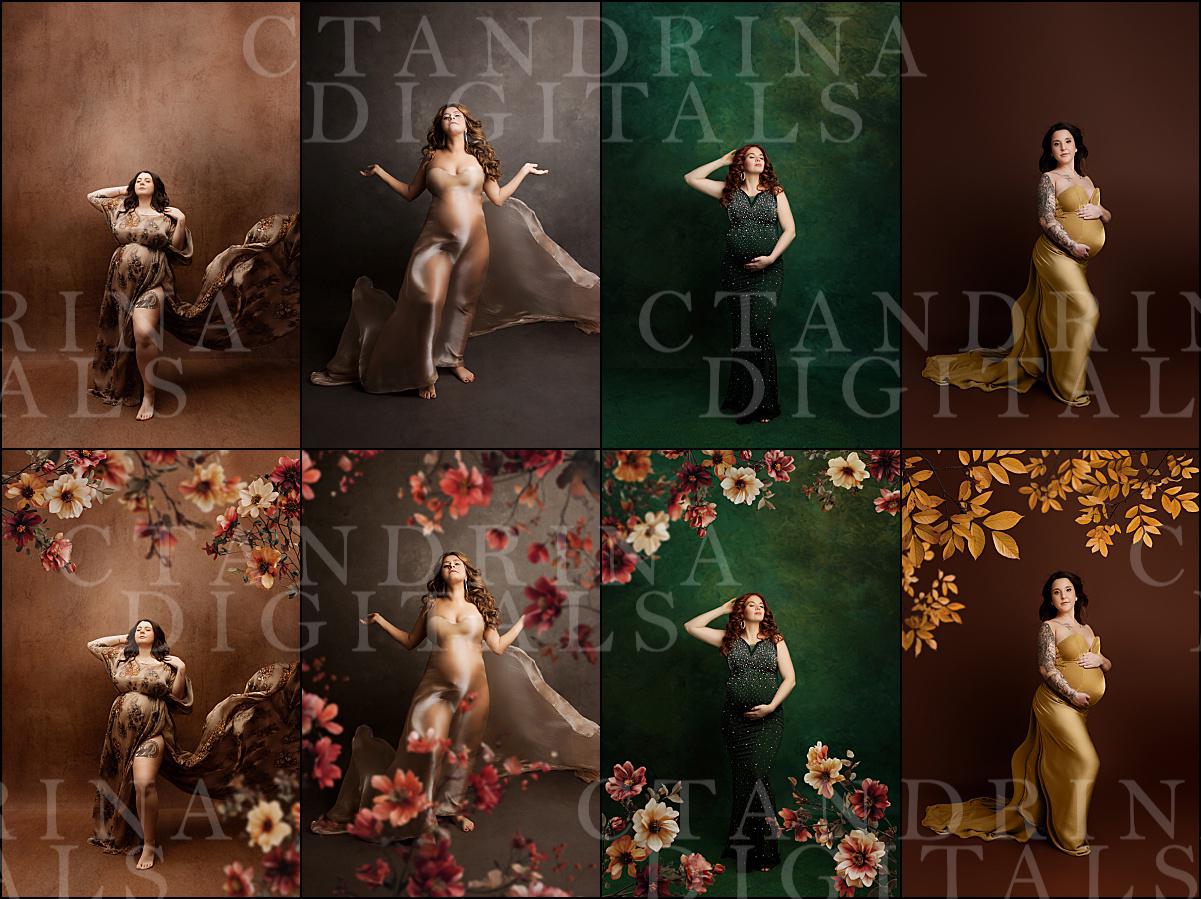 Fall Branch Backdrop Overlays: Floral PNG Branches for Photography (Digital Download)