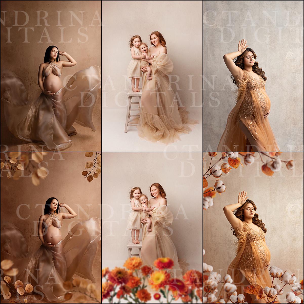 Fall Branch Backdrop Overlays: Floral PNG Branches for Photography (Digital Download)