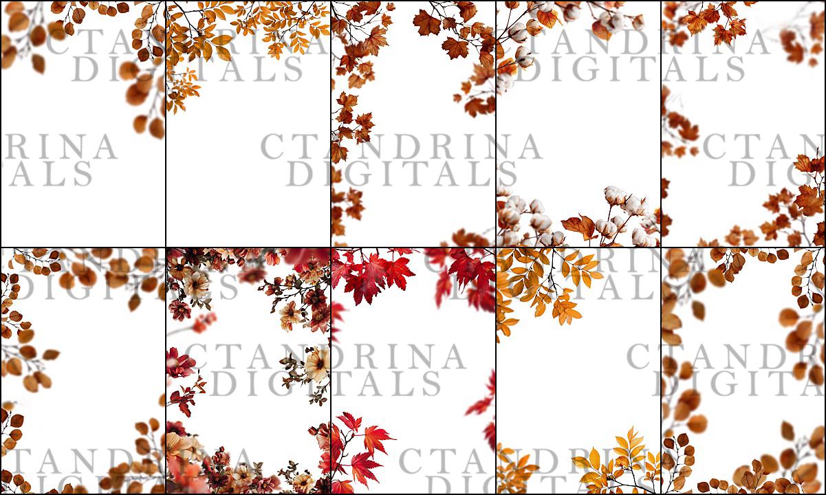 Fall Branch Backdrop Overlays: Floral PNG Branches for Photography (Digital Download)
