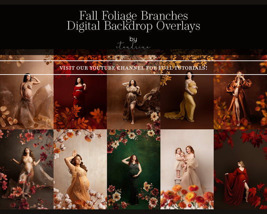 PNG Fall Branch Backdrop Overlays