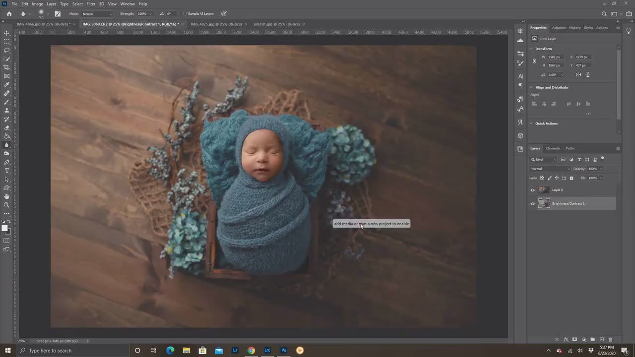 Newborn Digital Backdrop, Blue Floral Arrangement Newborn Digital Background, Flower Newborn Backdrop, Spring Newborn Photoshop Backgrounds