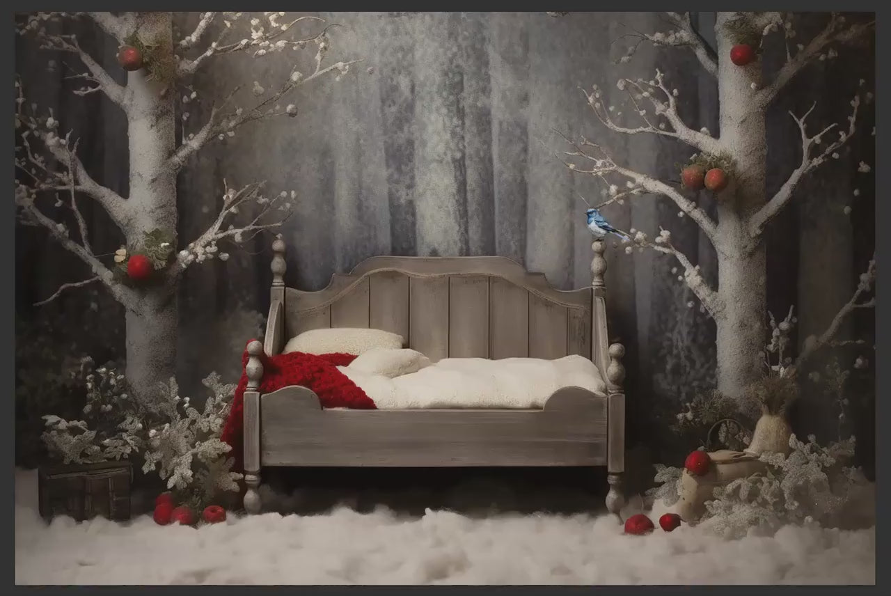 Frosted Trees Newborn Digital Backdrop, Winter Snow with a Blue Bird and Apples Baby Backdrop for Photoshop Composites, Snow Baby