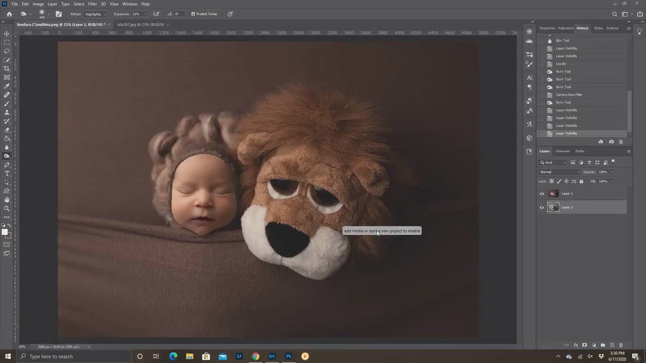 Lion Newborn Digital Backdrop, Stuffed Lion Newborn Digital Background, PNG Newborn Backdrop, Replace the Face Baby Backdrop for Photoshop