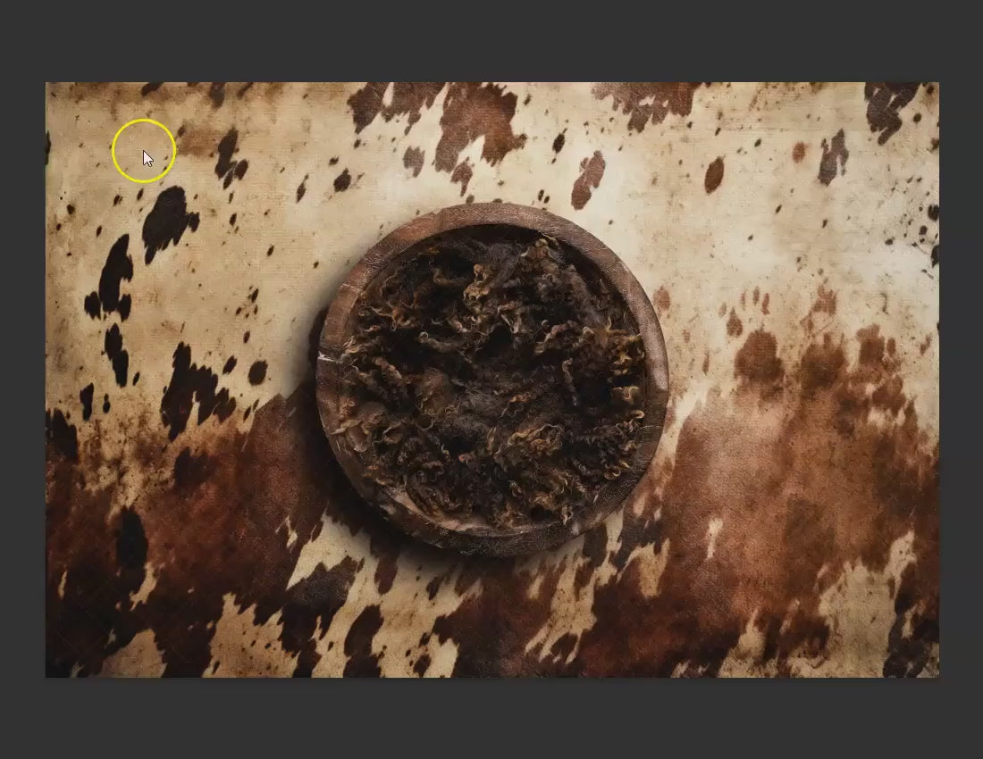 Cow Newborn Digital Backdrop, Cow Print Newborn Digital Background, Farm Baby Backdrop, Cattle Baby Digital Backdrop for Photoshop Composite