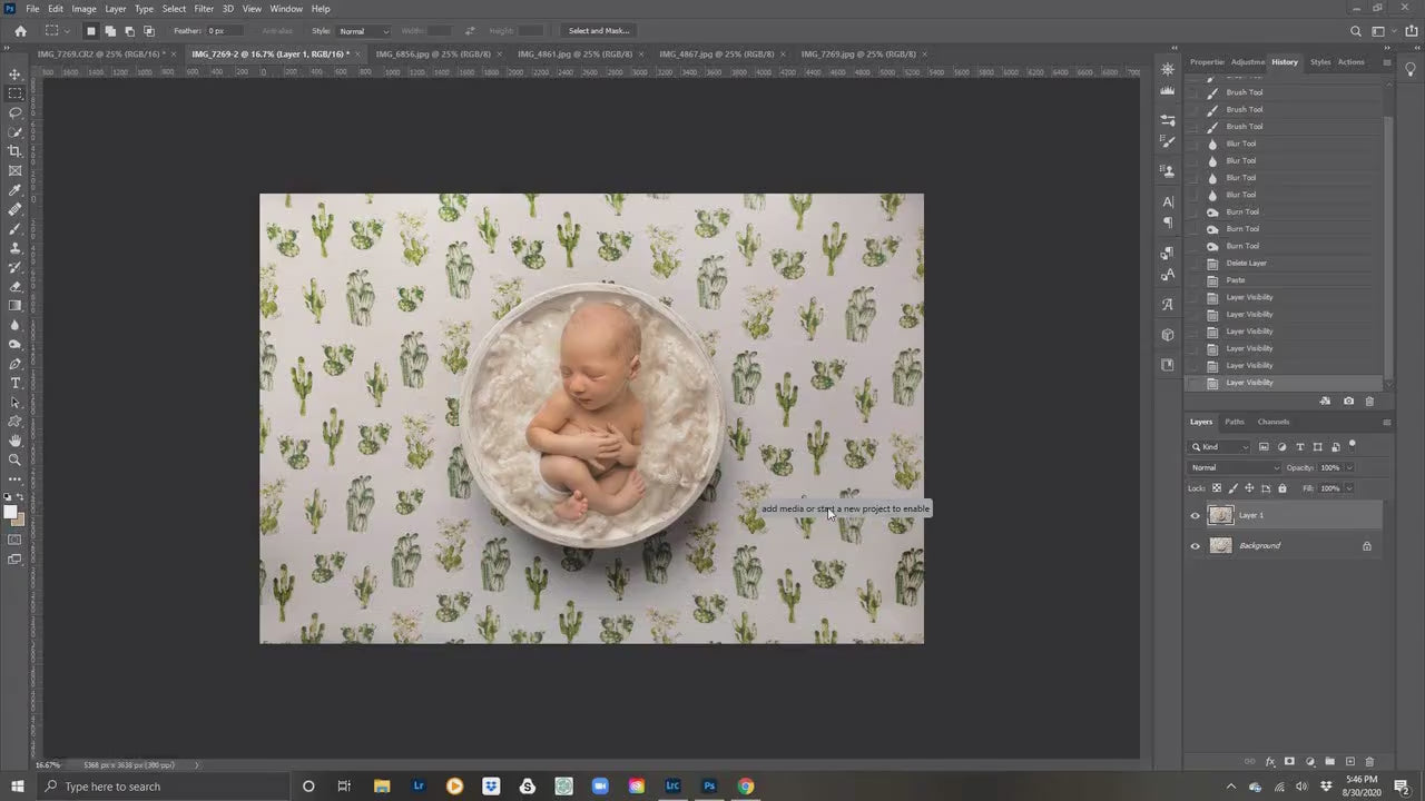 Newborn Digital Backdrop, Newborn Digital Background, Cactus Newborn Digital Backdrop, Baby Boy Digital Backdrop, Newborn Photoshop Backdrop