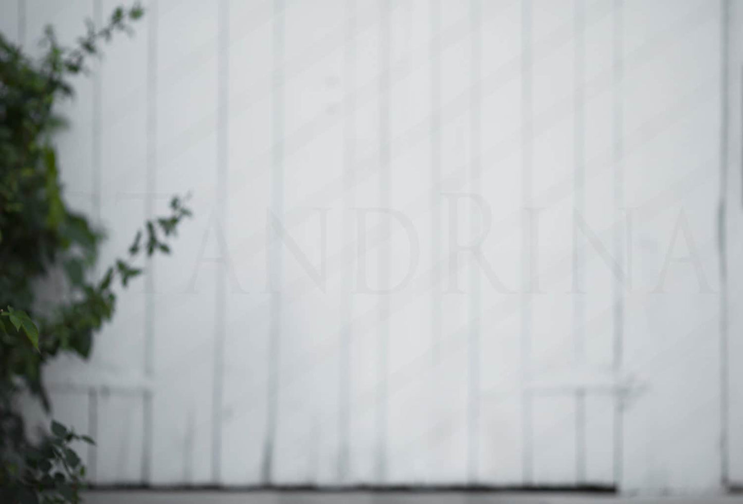 Old White Wood Digital Backdrop, White Barn Door Digital Background, Farmhouse Digital Backdrop, Digital Backdrops for Photoshop