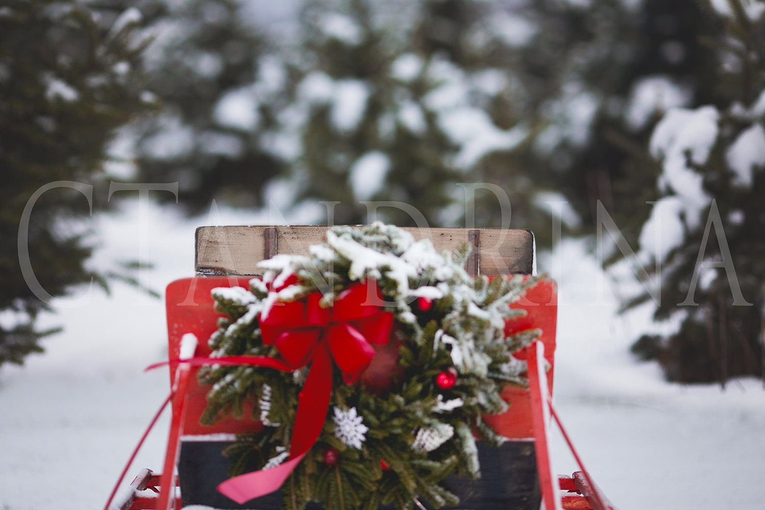 5 Santa Sleigh Digital Backdrops, Sleigh Digital Background, Christmas Sleigh, Decorated Sleigh Backdrop, Digital Backdrops for Photoshop