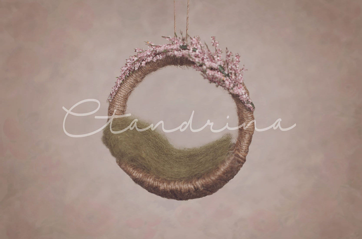 Vintage Floral Newborn Hanging Digital Backdrop, Newborn Digital Background, Baby Girl Backdrop, Newborn Digital Backdrops for Photoshop