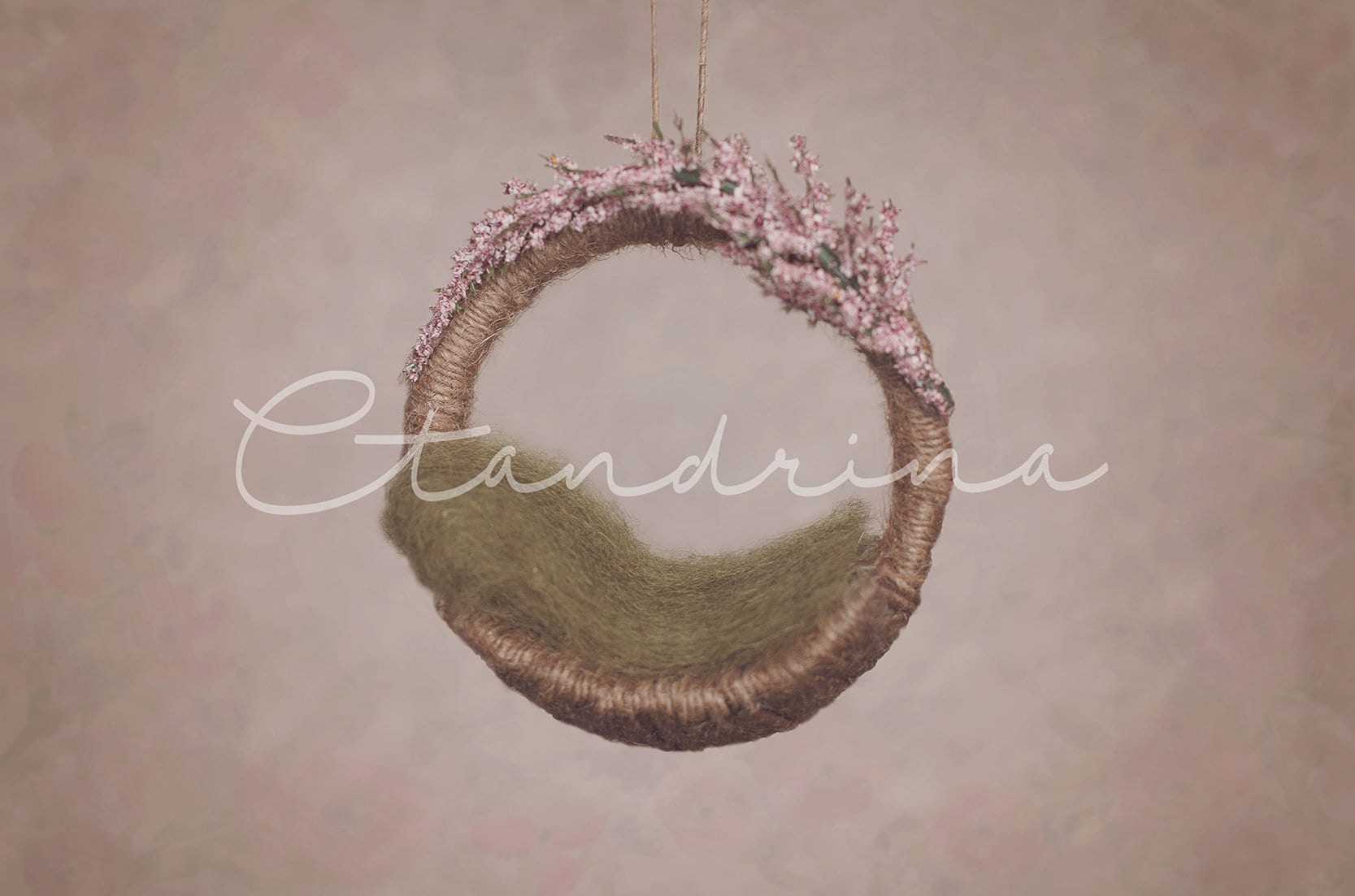 Vintage Floral Newborn Hanging Digital Backdrop, Newborn Digital Background, Baby Girl Backdrop, Newborn Digital Backdrops for Photoshop