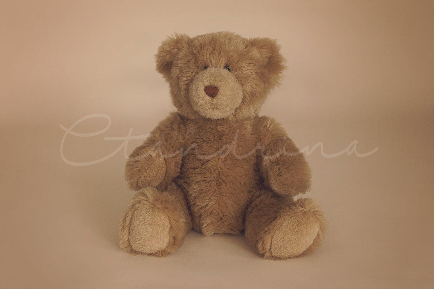 Big Teddy Bear Newborn Digital Backdrop, Teddy Baby Poser, Brown Teddy Bear on Tan Background Newborn Digital Backdrop for Photoshop