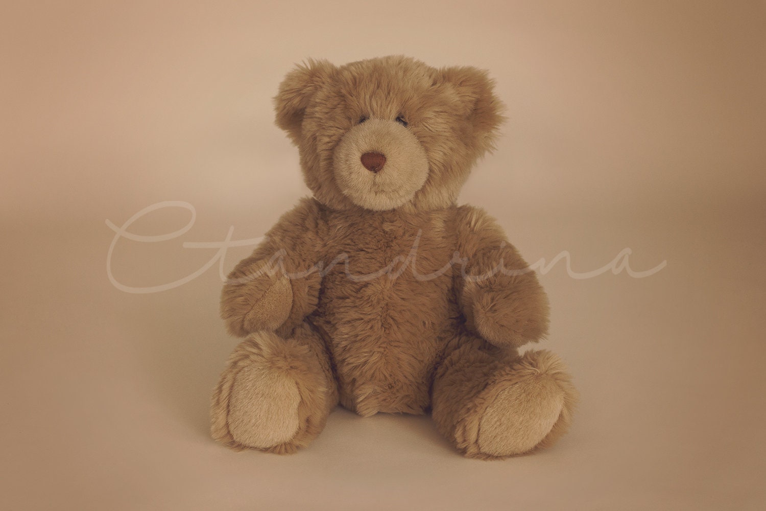 Big Teddy Bear Newborn Digital Backdrop, Teddy Baby Poser, Brown Teddy Bear on Tan Background Newborn Digital Backdrop for Photoshop