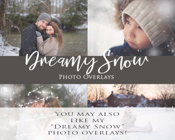 Snowy Hedges Digital Backdrop, Snowy Digital Background, Digital Backdrops for Photoshop and more!