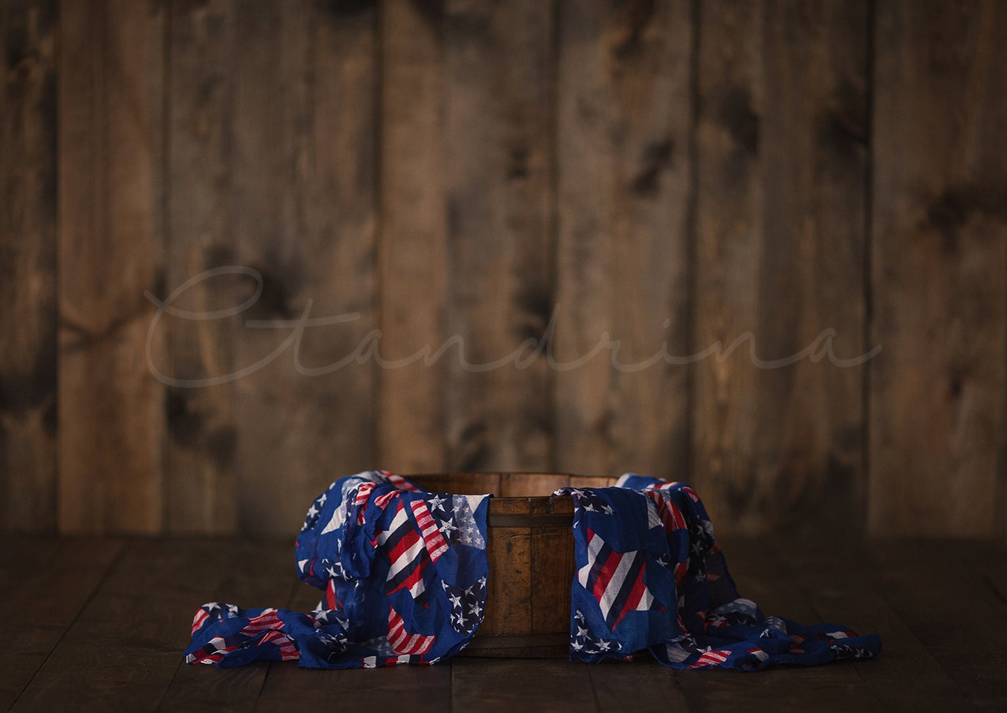 Patriotic Baby Digital Backdrop for 4th of July, Memorial Day, Veterans Day, Sitter Session Backdrop, Newborn Digital Backdrop for Photoshop