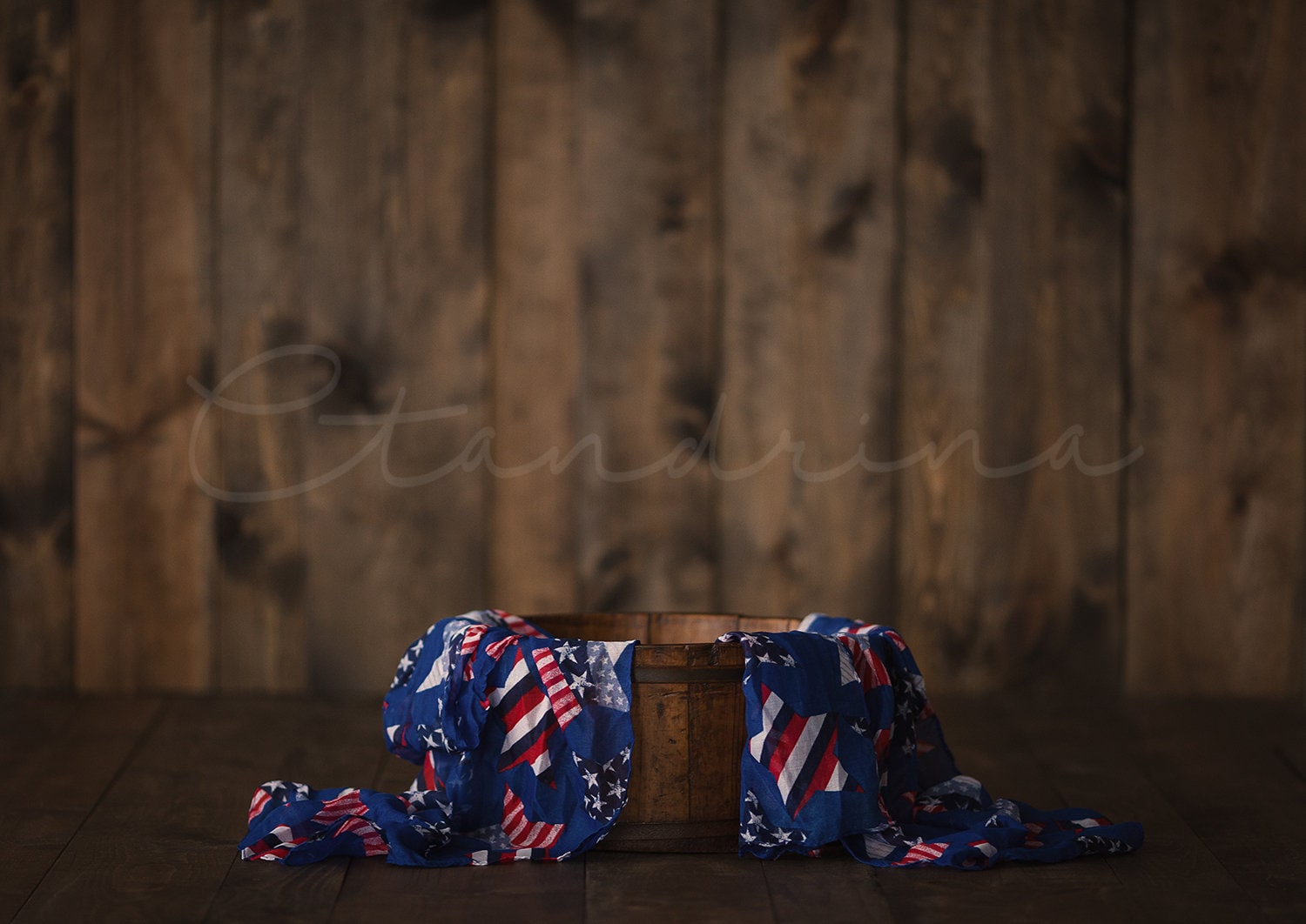 Patriotic Baby Digital Backdrop for 4th of July, Memorial Day, Veterans Day, Sitter Session Backdrop, Newborn Digital Backdrop for Photoshop