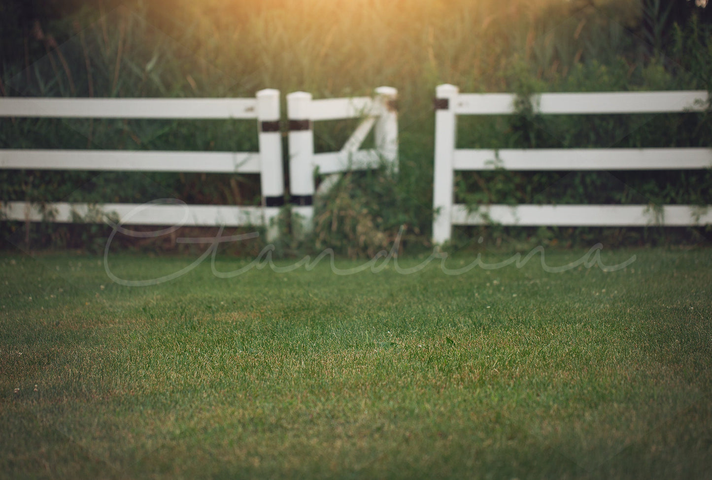 Farmhouse Gate with Sunset Light Leak Digital Backdrop, Farm Digital Background, Cute Digital Backdrops, Summer Backdrops for Photoshop