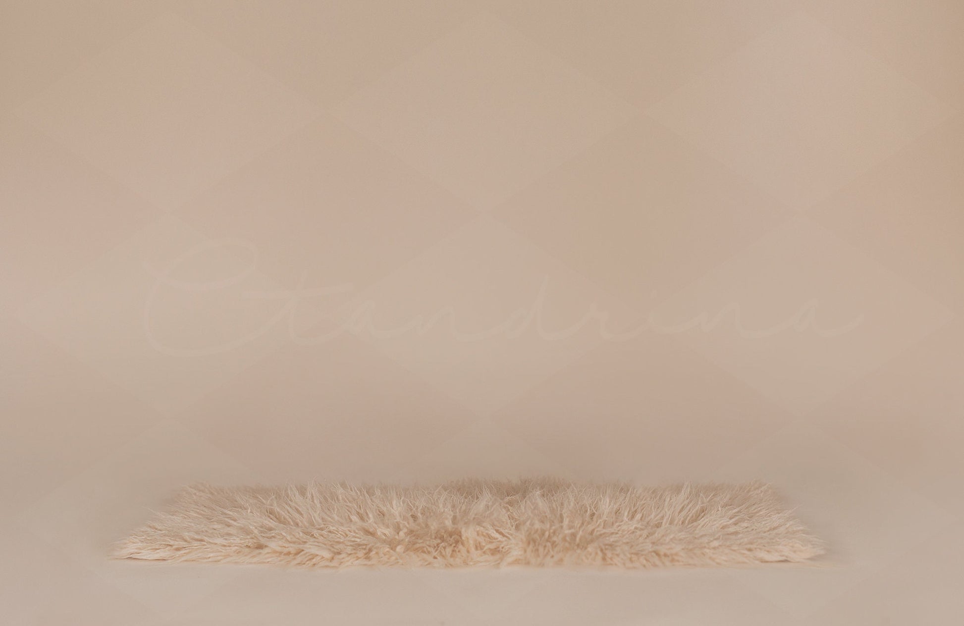 Fur Rug Digital Backdrop, Sitter Session Digital Backdrop, Portrait Photography Digital Background, Neutral Child Backdrop for Photoshop