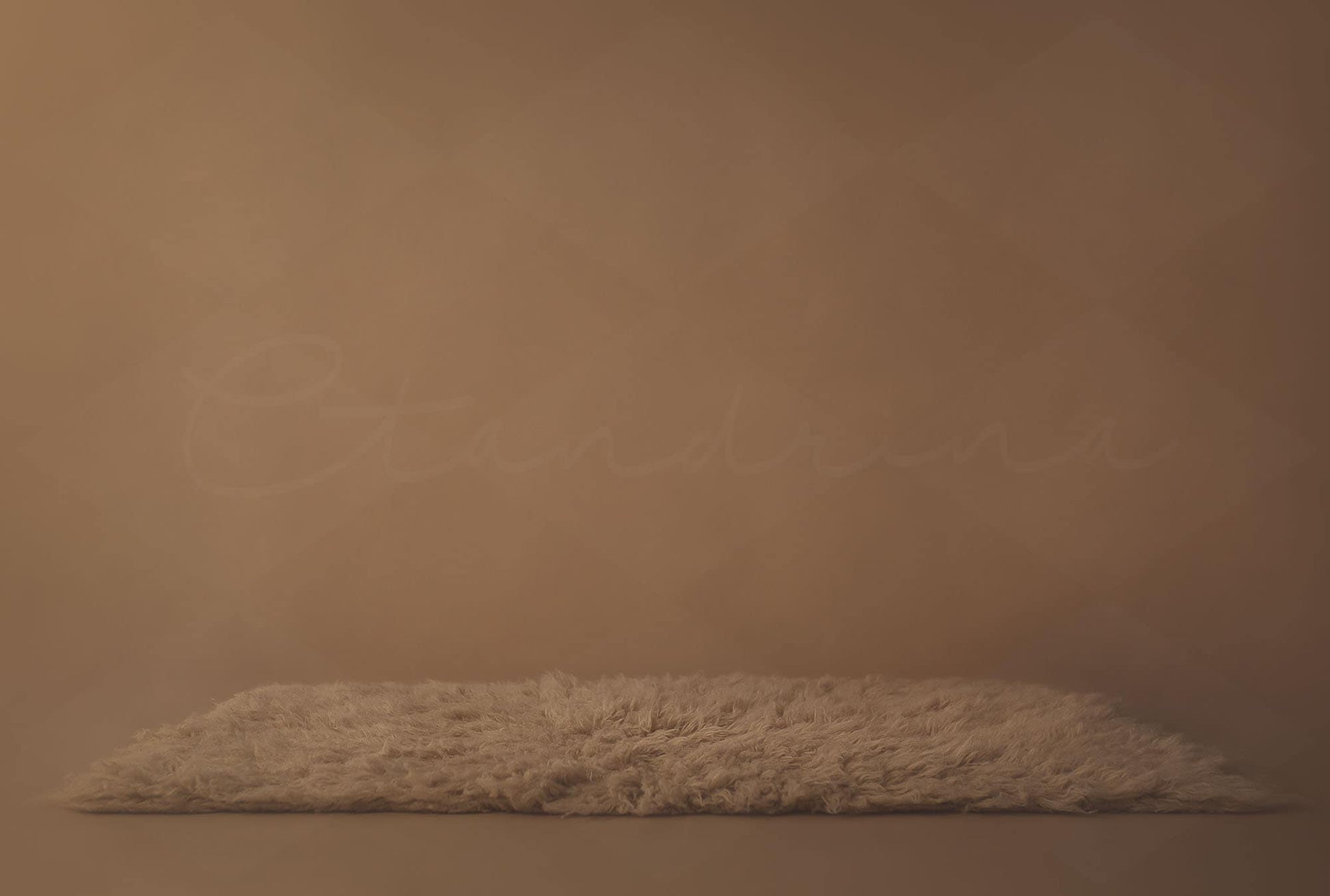 Flokati Rug Digital Backdrop, Sitter Session Digital Backdrop, Portrait Photography Digital Background, Neutral Child Backdrop for Photoshop