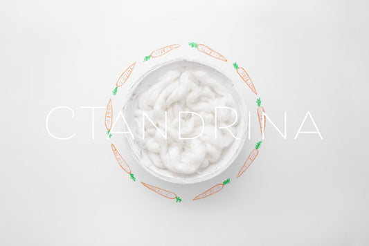 Hand Drawn Carrot Wreath Newborn Digital Backdrop, Spring Newborn Background, White Easter Newborn Backdrop for Photoshop