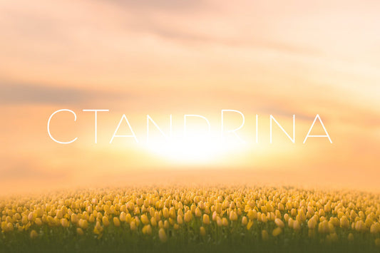 Yellow Tulip Field Digital Backdrop, Flower Field Digital Background, Spring Digital Background, Yellow Flower Field Backdrop for Photoshop