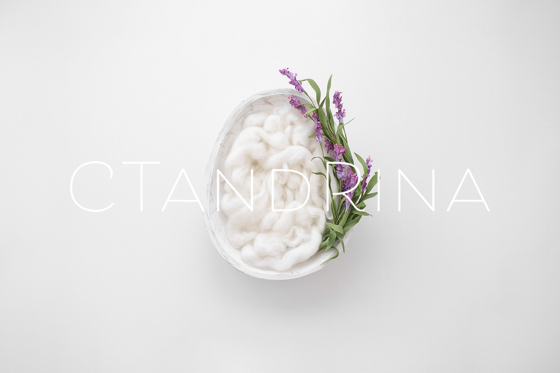 White Egg Newborn Digital Backdrop, Easter Newborn Background for Photoshop with White Wood Carved Bowl and White Wool Fluff and Flowers