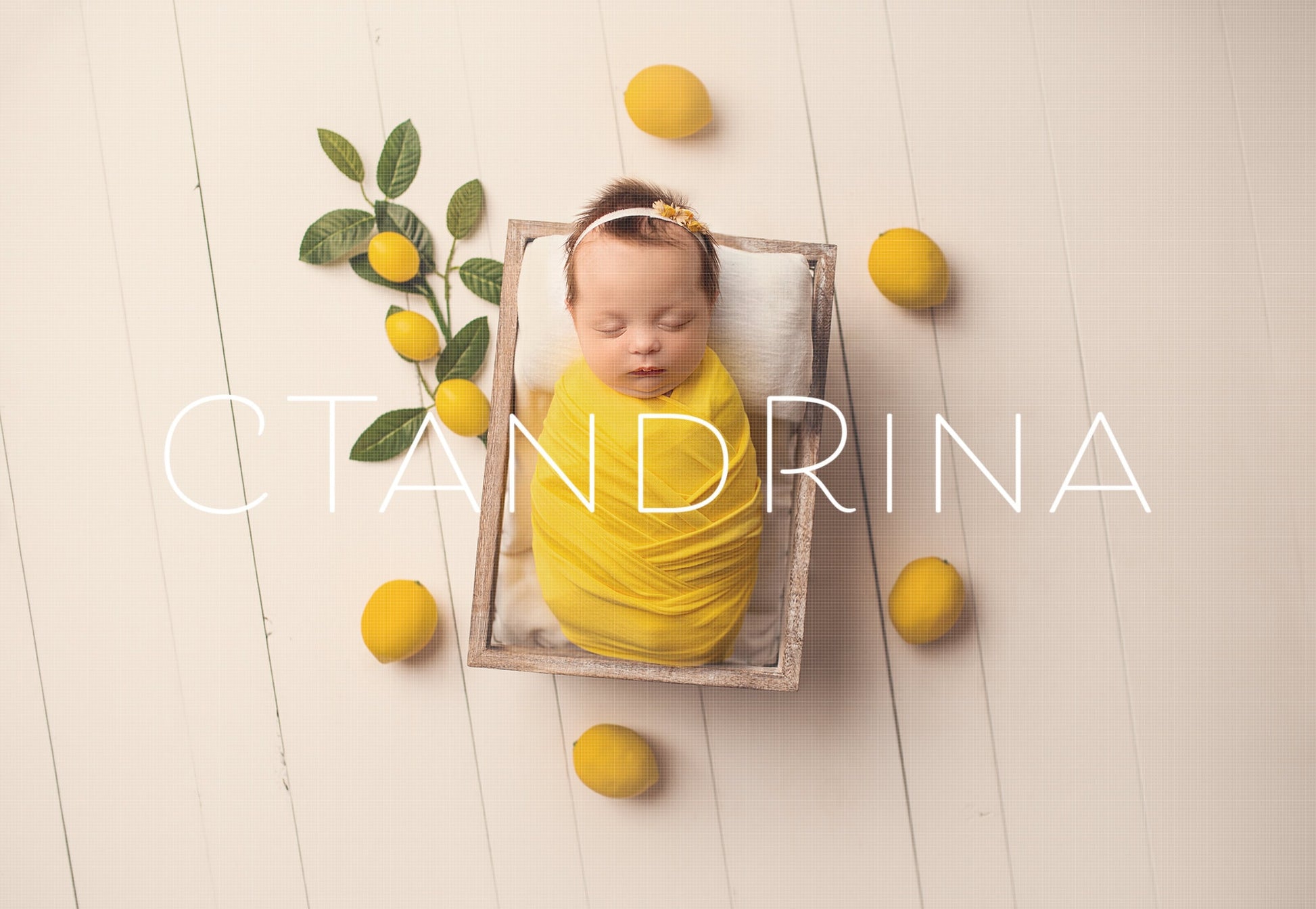 Lemon Themed Newborn Digital Backdrop, Lemon Baby Backdrop, Light and Airy Digital Backdrops, Summer Newborn Digital Backdrops for Photoshop