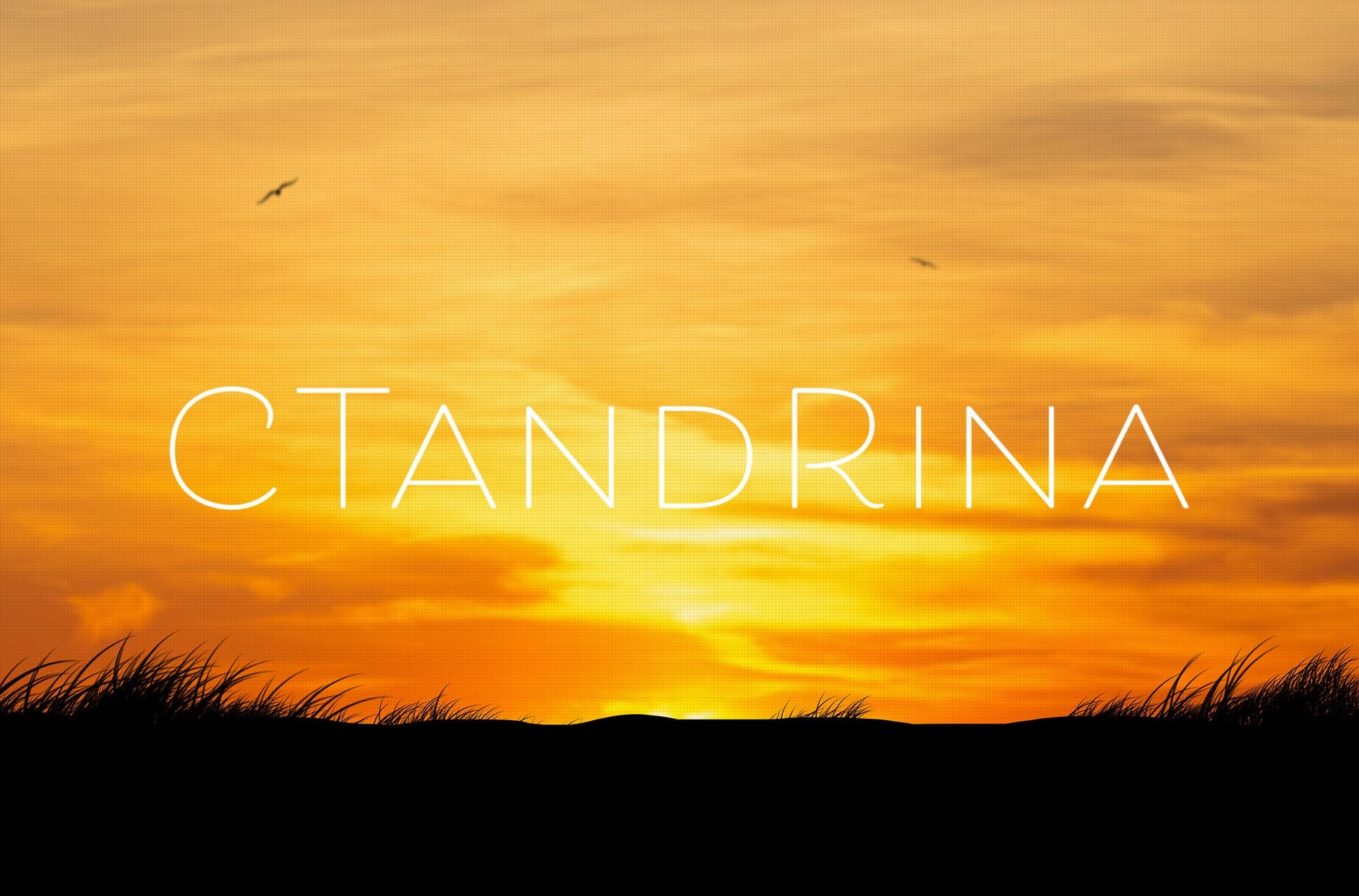 Sunset Beach Silhouette Digital Backdrop, Sunset Beach with Birds Digital Background, High School Senior Digital Backdrops for Photoshop