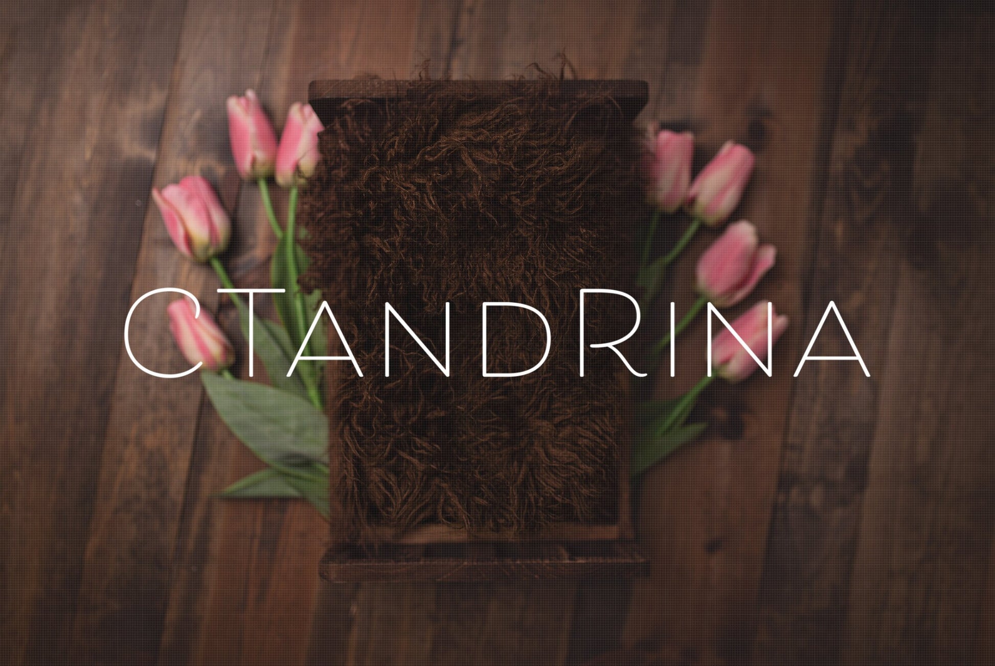 Spring Newborn Digital Backdrop, Brown Bed and Fur on Dark Wood Floor Newborn Digital Background, Rich Toned Newborn Backdrops for Photoshop