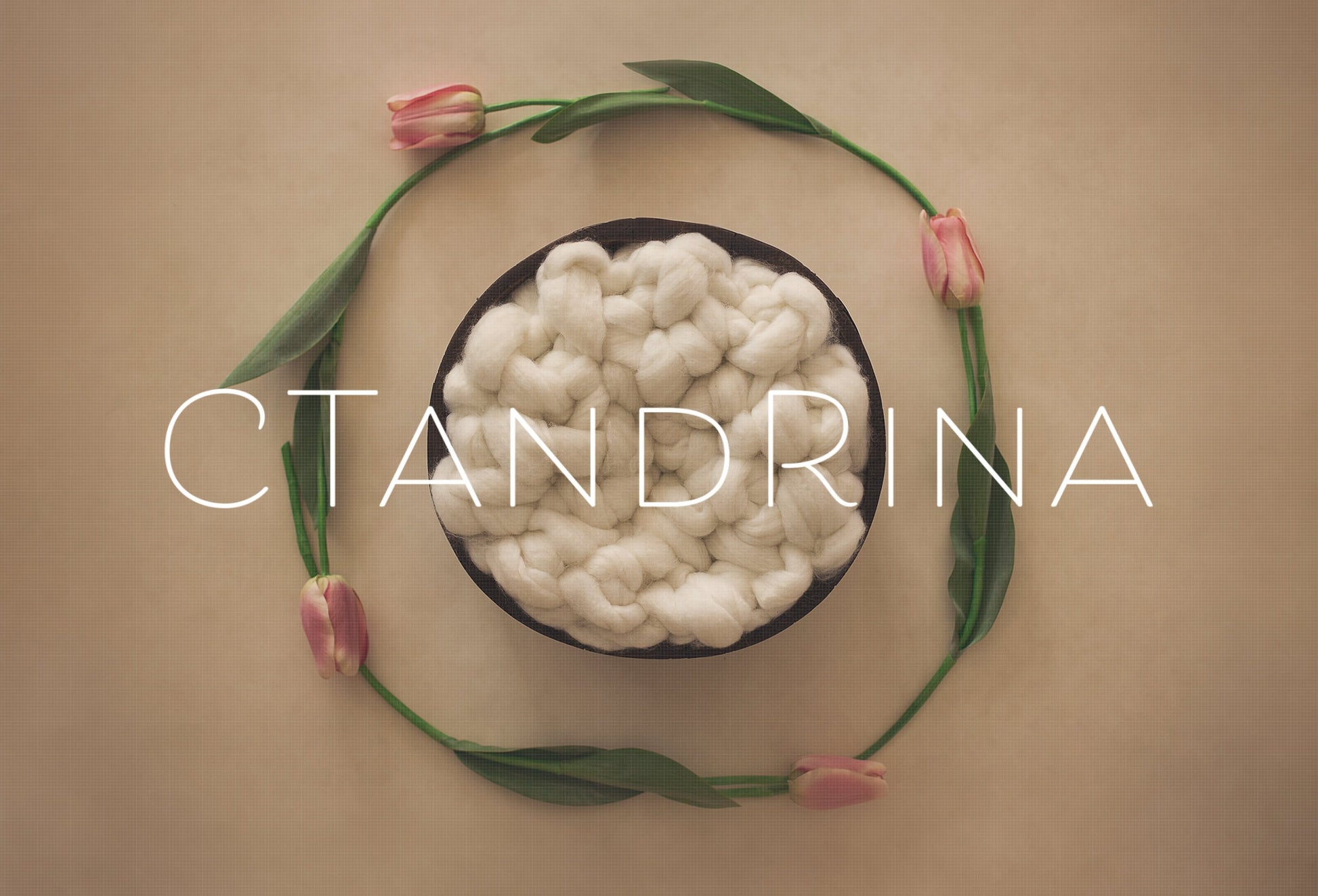 Flower Newborn Digital Backdrop, Newborn Floral Background, Wooden Bucket with Bump Layer and Tulips, Beautiful Backdrops for Photoshop