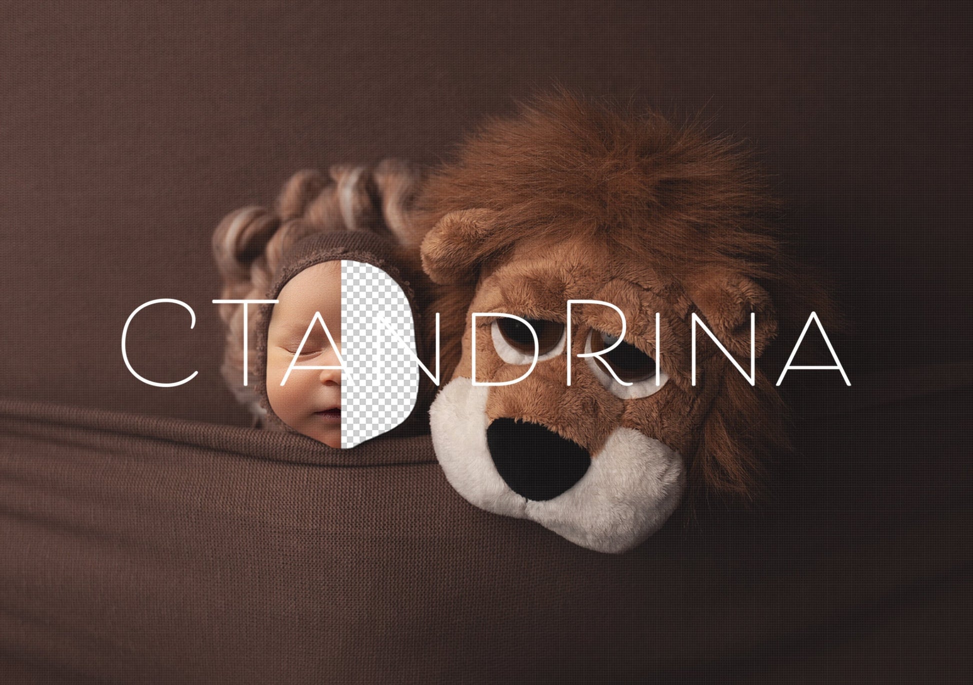 Lion Newborn Digital Backdrop, Stuffed Lion Newborn Digital Background, PNG Newborn Backdrop, Replace the Face Baby Backdrop for Photoshop