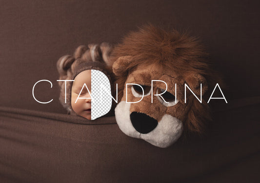 Lion Newborn Digital Backdrop, Stuffed Lion Newborn Digital Background, PNG Newborn Backdrop, Replace the Face Baby Backdrop for Photoshop