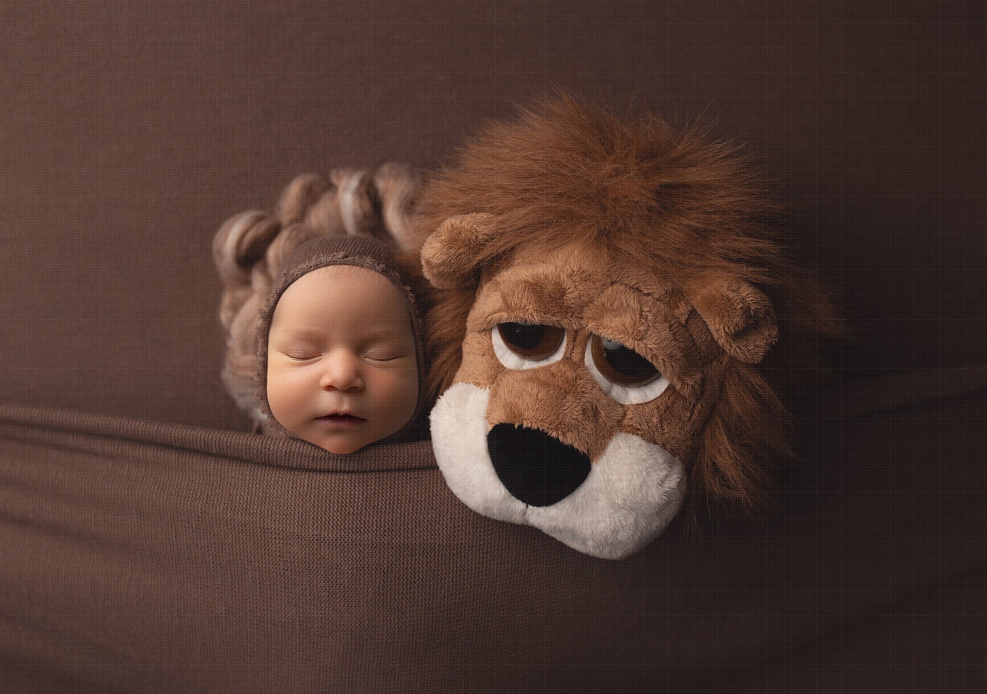Lion Newborn Digital Backdrop, Stuffed Lion Newborn Digital Background, PNG Newborn Backdrop, Replace the Face Baby Backdrop for Photoshop