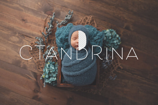 Newborn Digital Backdrop, Blue Floral Arrangement Newborn Digital Background, Flower Newborn Backdrop, Spring Newborn Photoshop Backgrounds