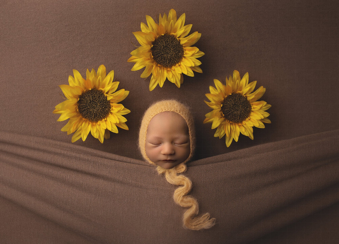 Sunflower Newborn Digital Backdrop, Under the Covers Newborn Digital Background, PNG Replace the Face Baby Digital Background for Photoshop