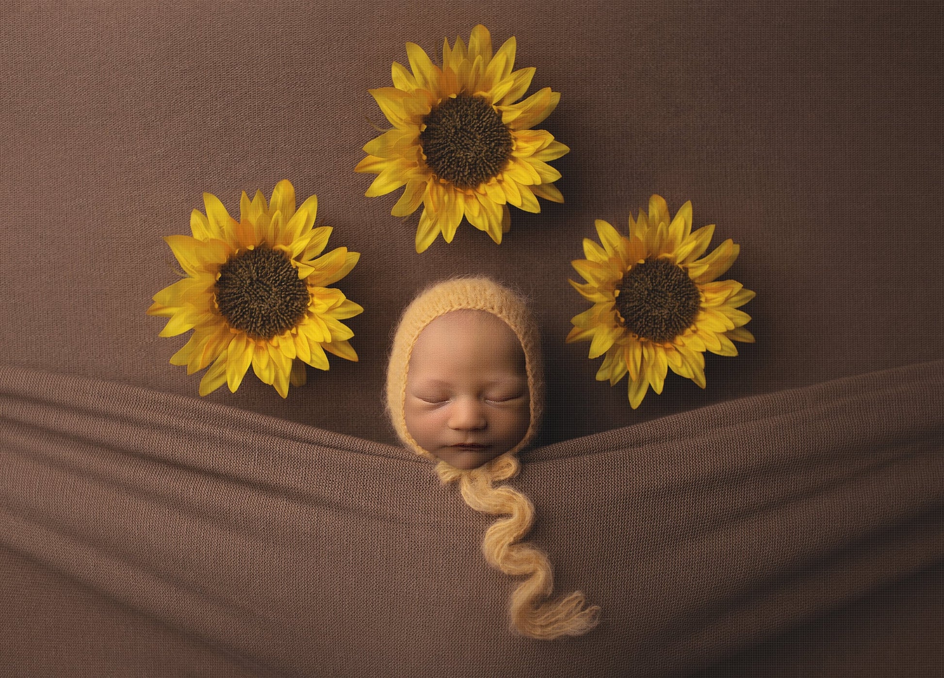 Sunflower Newborn Digital Backdrop, Under the Covers Newborn Digital Background, PNG Replace the Face Baby Digital Background for Photoshop