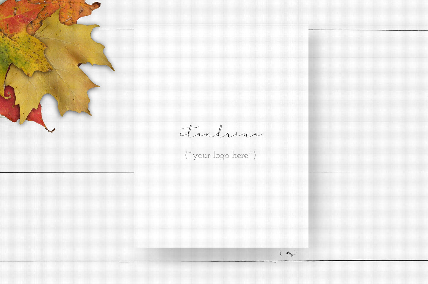 Newborn Session Guide Template, .PSD Layered Photoshop Files, Fall Newborn Welcome Guide, Newborn Prep Guide Templates for Photoshop