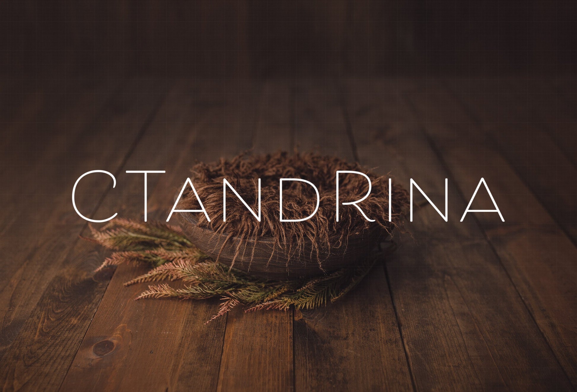 Fall Newborn Digital Backdrop, Newborn Digital Backdrops for Fall and Autumn, Real Wood Backdrop with Fall Foliage Baby Photoshop Backdrop