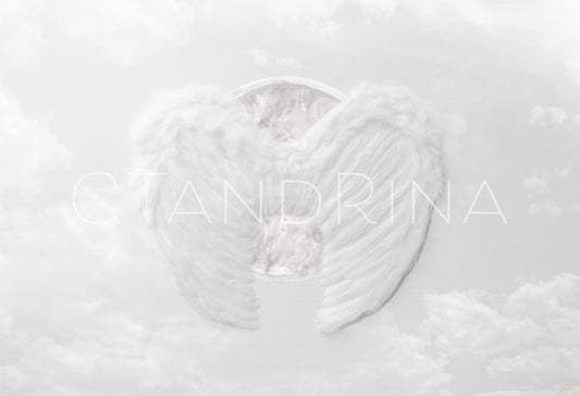 Angel Wings Newborn Digital Backdrop. Angel Baby Newborn Digital Background, Newborn Digital Backdrops for Photoshop