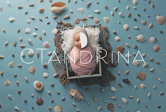 PNG Newborn Digital Backdrop, Beach Baby Girl Newborn Digital Backdrop, Replace the Face Beach Themed Newborn Background for Photoshop