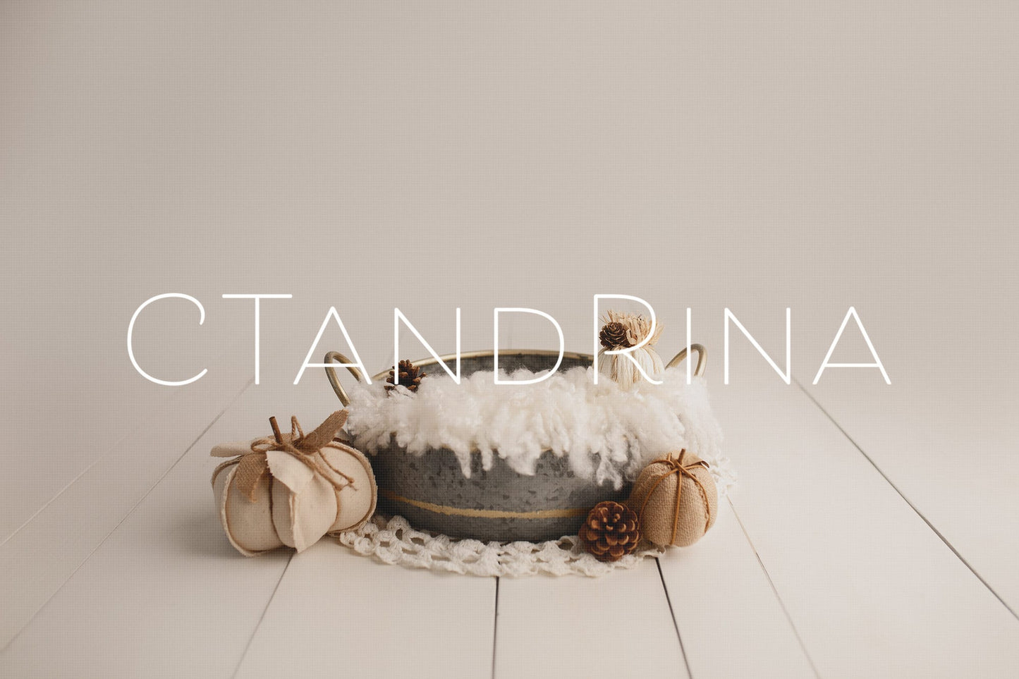 Fall Newborn Digital Backdrop, Autumn Newborn Digital Background, Pumpkins and Pine Cones Fall Real Wood Digital Backdrop for Photoshop