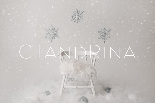 Christmas Newborn Digital Backdrop, Silver Snow Flakes Newborn Digital Background, Newborn Holiday Digital Backdrops for Photoshop