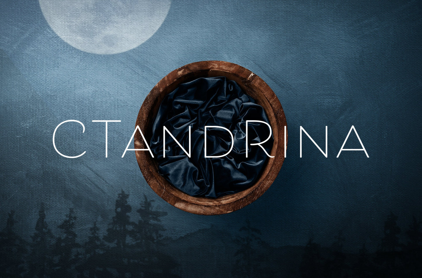 Newborn Digital Backdrop, Baby Boy Digital Backdrops, Moonlit Forest Newborn Digital Background, Newborn Digital Backdrops for Photoshop