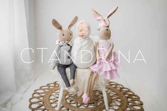 Newborn Digital Backdrop, Easter Bunny Newborn Digital Background, Bunny PNG Newborn Backdrop, Face Insert Baby Backdrop for Photoshop