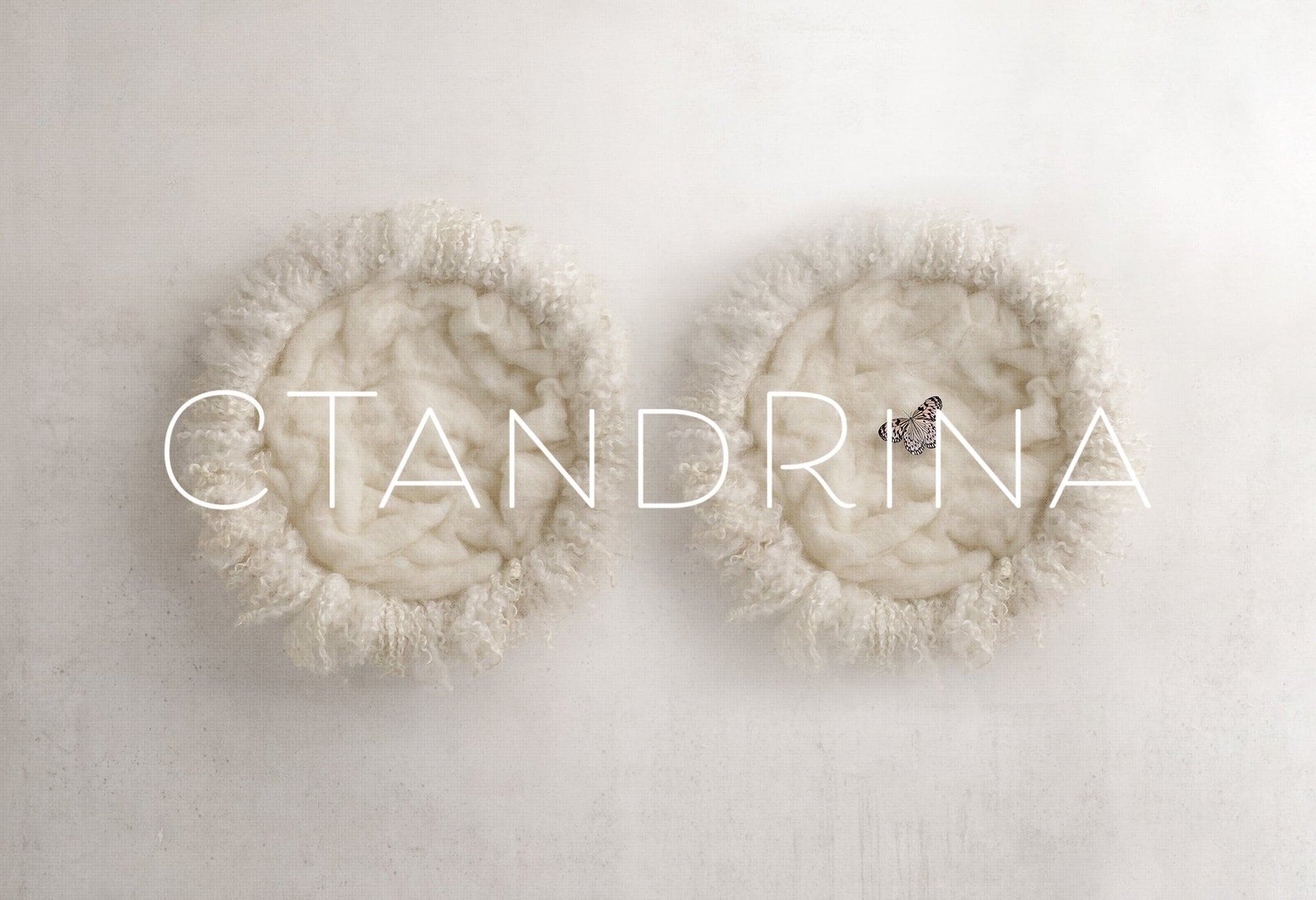 Newborn Digital Backdrop, Sibling Loss Butterfly Baby Digital Backdrop, Twin Loss Butterfly Backdrop, Newborn Loss Photoshop Backdrop