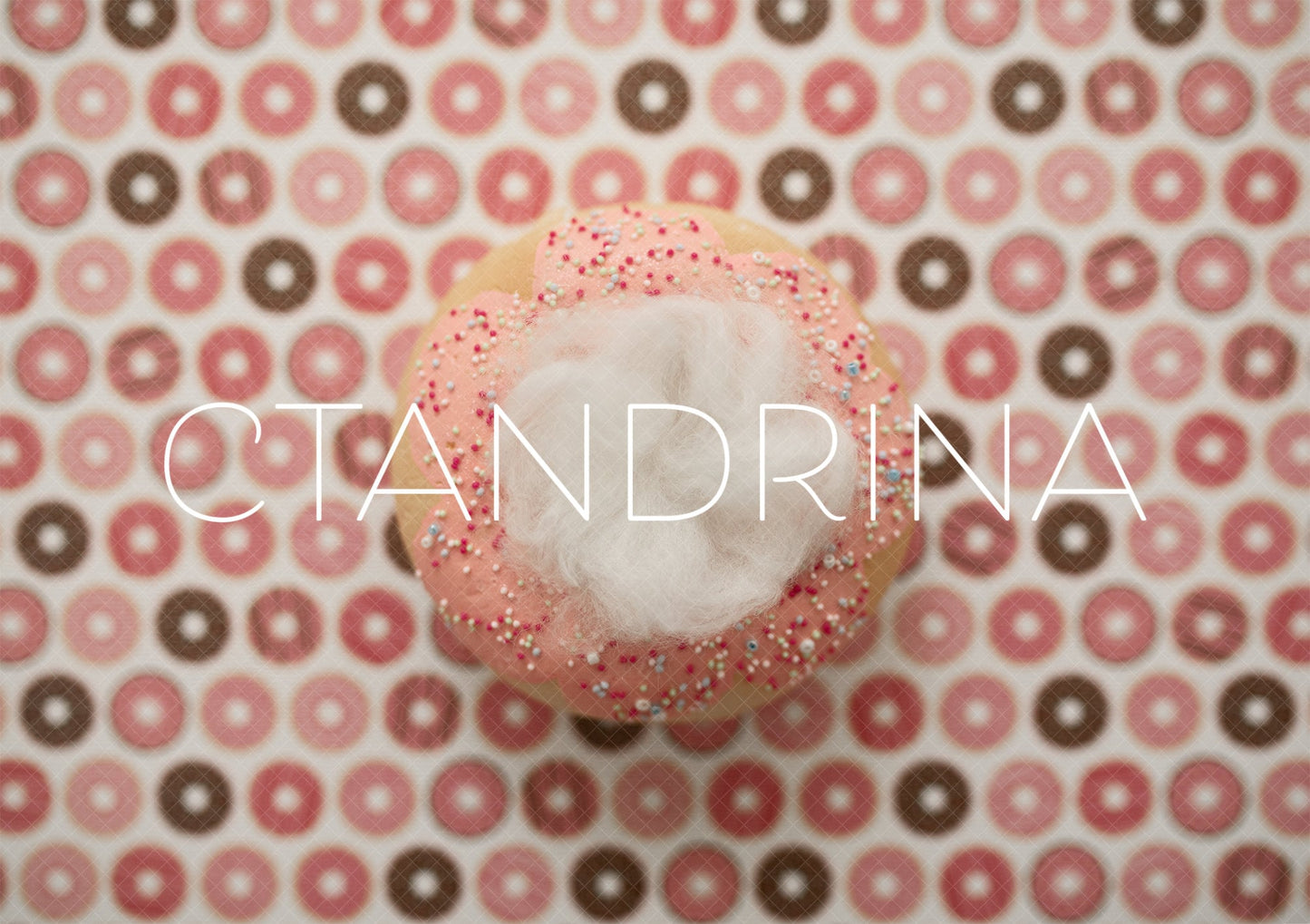 Pink Donut Newborn Digital Backdrop, Newborn Digital Background, Donut Baby Backdrop, Sweet Treats Newborn Digital Backdrop for Photoshop