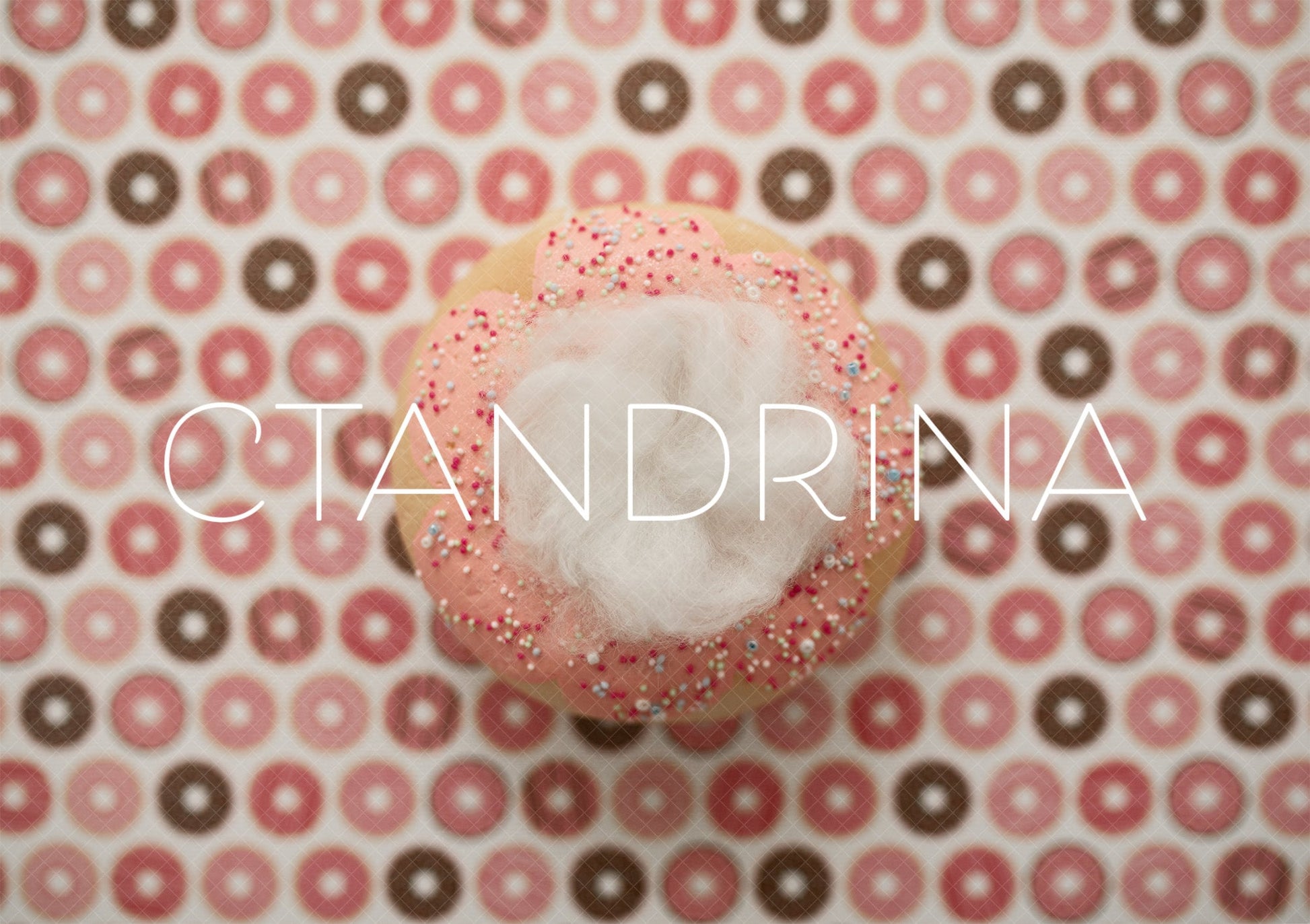 Pink Donut Newborn Digital Backdrop, Newborn Digital Background, Donut Baby Backdrop, Sweet Treats Newborn Digital Backdrop for Photoshop