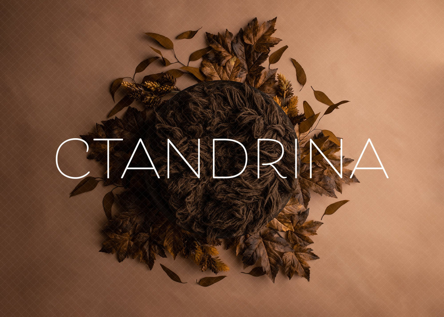 Newborn Digital Backdrop 2 Pack, Fall Newborn Digital Backdrops, Fall Leaves with Bowl Newborn Backdrop for Photoshop Composites