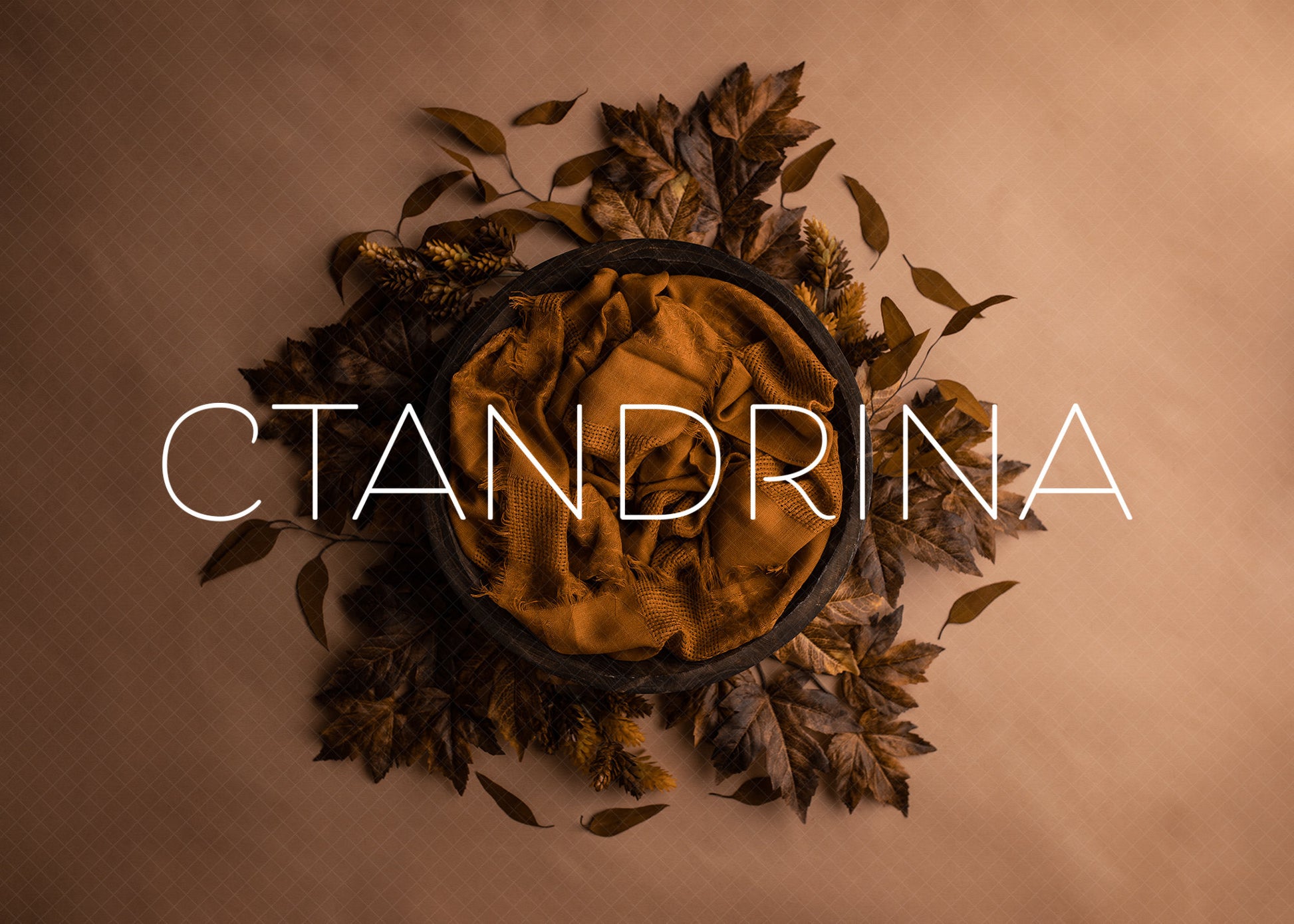 Newborn Digital Backdrop 2 Pack, Fall Newborn Digital Backdrops, Fall Leaves with Bowl Newborn Backdrop for Photoshop Composites