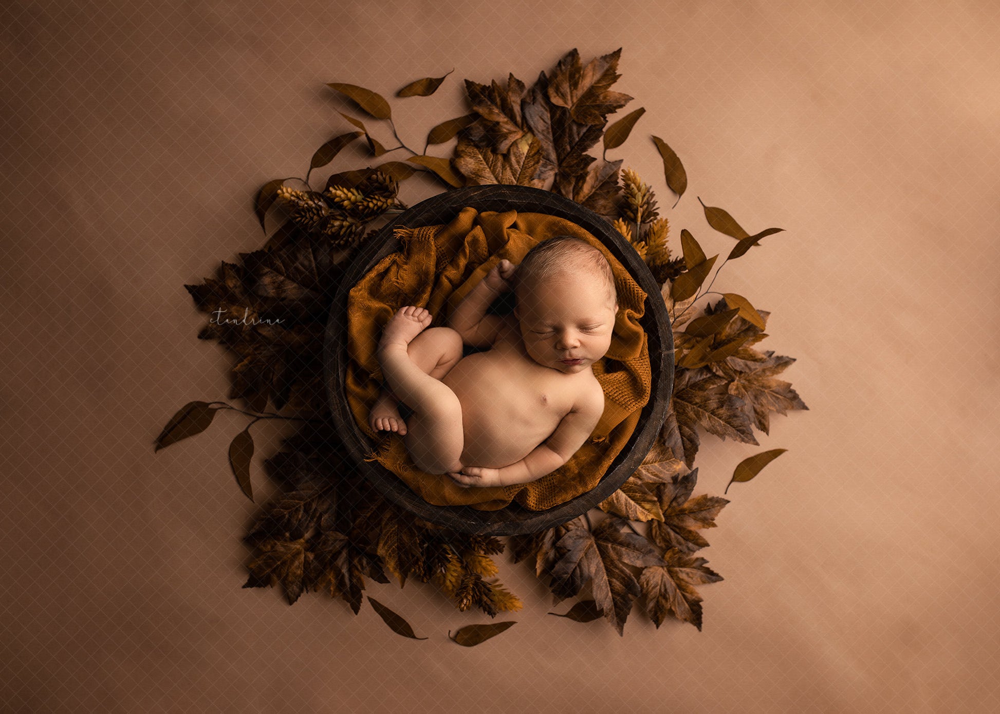 Newborn Digital Backdrop 2 Pack, Fall Newborn Digital Backdrops, Fall Leaves with Bowl Newborn Backdrop for Photoshop Composites